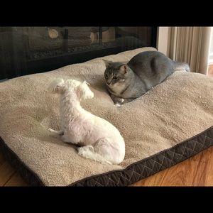 Meet your Posher, David